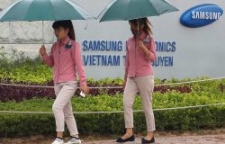 Samsung có thể chuyển một phần sản xuất smartphone từ Việt Nam sang Ấn Độ