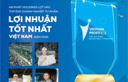An Phát Holdings lọt vào top 500 doanh nghiệp có lợi nhuận tốt nhất Việt Nam